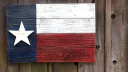 Tòa phúc thẩm liên bang chặn luật Texas về kiểm duyệt nội dung: Ranh giới mong manh giữa bảo vệ trẻ em và tự do ngôn luận