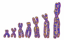 Giải mã di truyền: Phát hiện dòng dõi ma (Ghost Lineage) trong bộ gen người tại Châu Phi