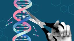 Đột phá trong kỹ thuật chỉnh sửa gen: Khi AlphaFold AI trở thành chìa khóa tối ưu hóa độ an toàn của protein