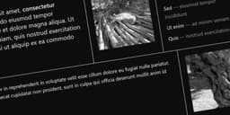 CSS Gap Decorations: Bước ngoặt mới trong thiết kế Layout hiện đại