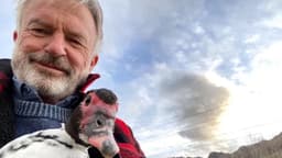 Vĩnh biệt Sam Neill: Nhìn lại di sản của một tượng đài điện ảnh và những bài học về sự bền bỉ