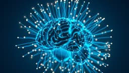 Trình duyệt AI: Khi công cụ lướt web truyền thống trở thành trợ lý thông minh thực thụ