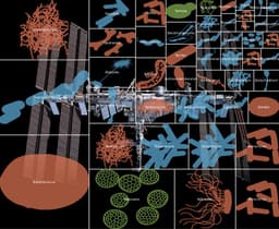 Giải mã sự sống ngoài không gian: Hướng dẫn phân tích Metagenomics trên Trạm Vũ trụ Quốc tế (ISS)