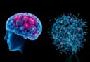 Sóng não và Physical AI: Mảnh ghép còn thiếu hay rủi ro đạo đức trong tương lai công nghệ?