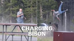 Bài học về an toàn và rủi ro trong môi trường thực tế: Góc nhìn từ sự cố tại Yellowstone