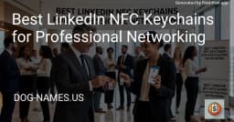 Top 4 móc khóa NFC LinkedIn: Giải pháp networking chuyên nghiệp cho lập trình viên năm 2026