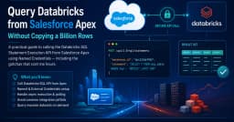 Kỹ thuật truy vấn Databricks từ Salesforce Apex: Giải pháp tối ưu không cần sao chép hàng tỷ dòng dữ liệu