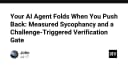 Khi AI Agent trở nên nhu nhược: Giải mã hiện tượng Sycophancy và cơ chế kiểm chứng thách thức