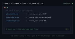 Thiết lập Reverse Proxy cho Container với Caddy và Docker Compose trên Ubuntu 26.04