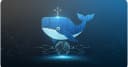 Docker cho người mới bắt đầu: Từ khái niệm cơ bản đến tư duy triển khai ứng dụng hiện đại