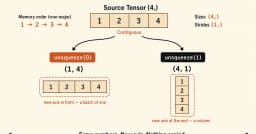 Giải mã hàm unsqueeze trong PyTorch: Tại sao mô hình của bạn luôn báo lỗi chiều dữ liệu?