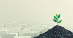 Thảm họa SEO: Khi tôi tự động hóa 2.300 bài viết AI và bị Google trừng phạt